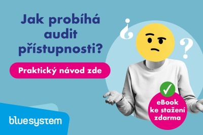 Jak probíhá audit přístupnosti webu